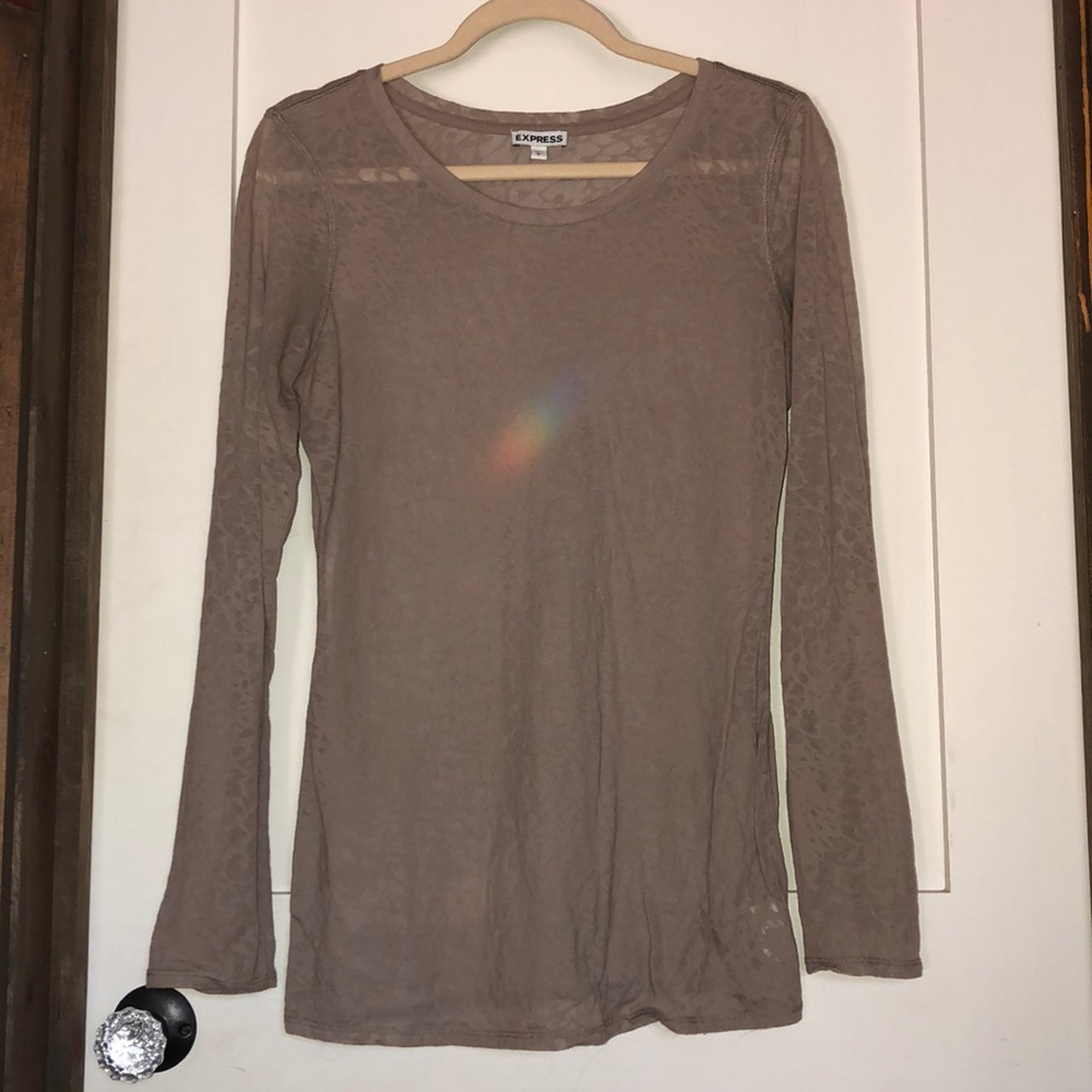 Express Sheer Top